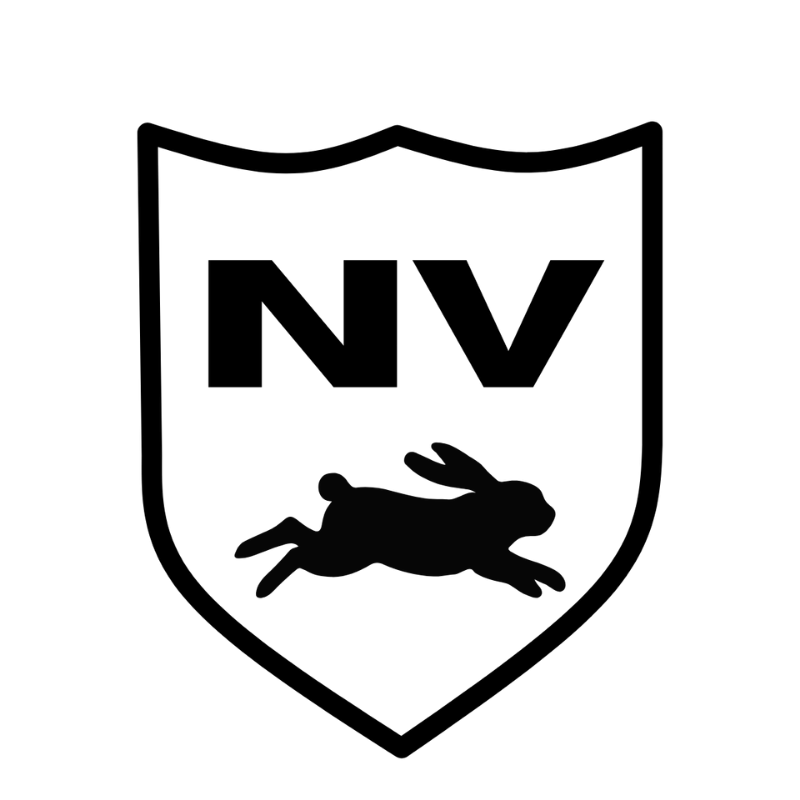 Fly Newventure